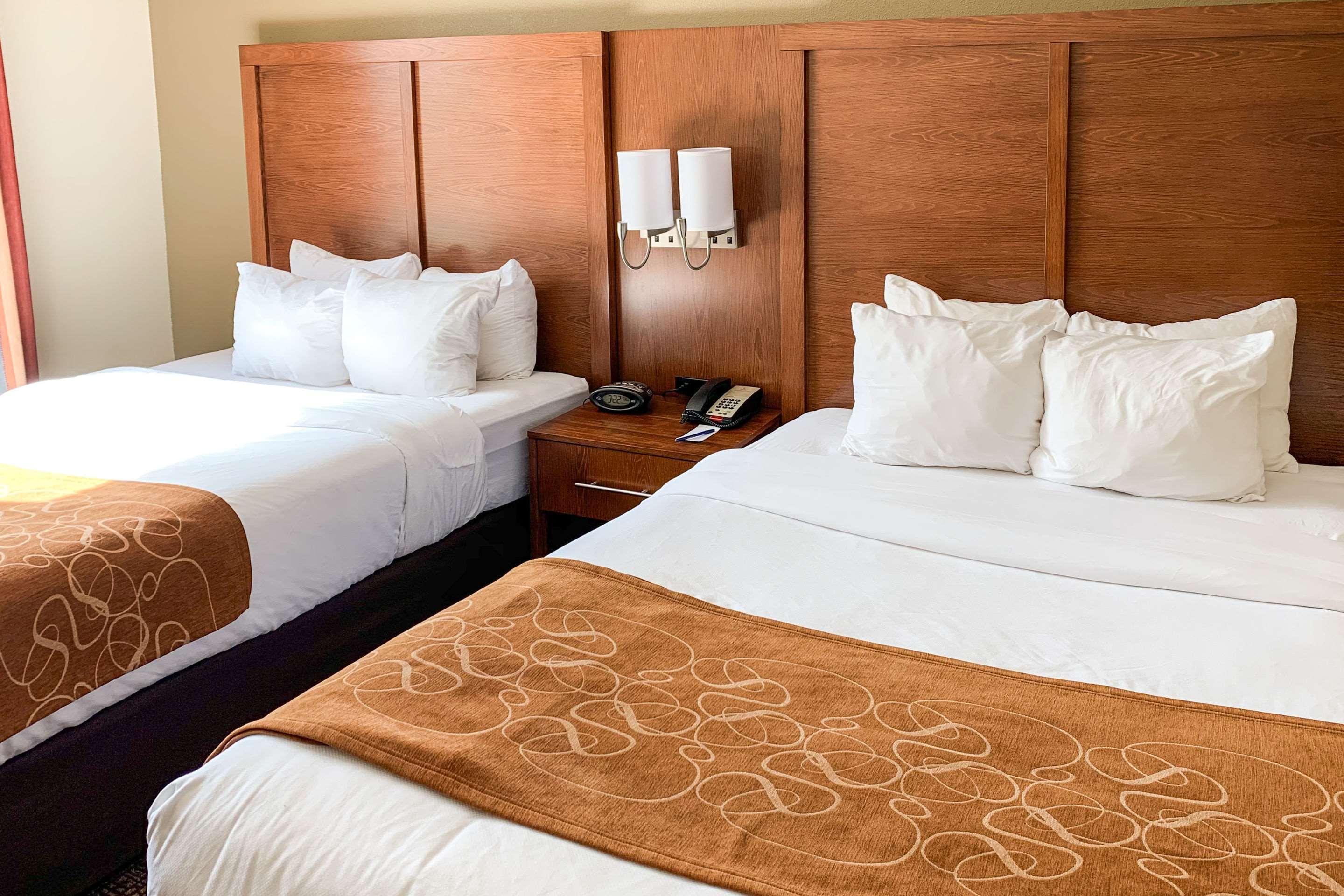 Comfort Suites Columbus State University Area Ngoại thất bức ảnh